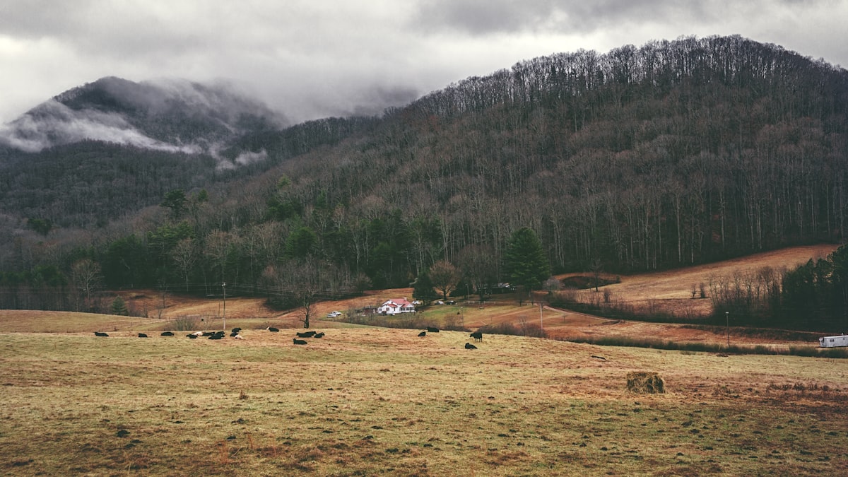 Blue Ridge, Georgia