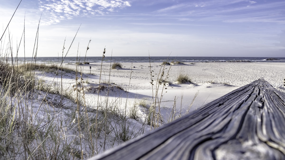 Gulf Shores & Orange Beach