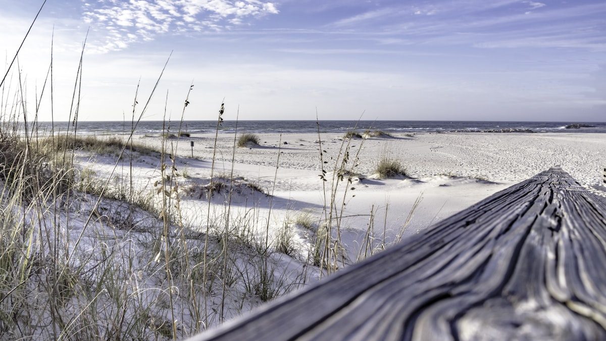 Gulf Shores and Orange Beach