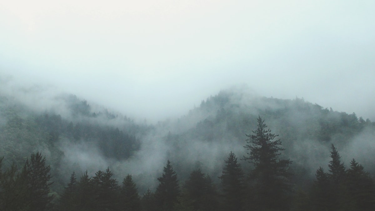Smoky Mountains